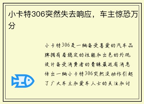 小卡特306突然失去响应,车主惊恐万分 小卡特306突然失去响应,车主惊恐万分
